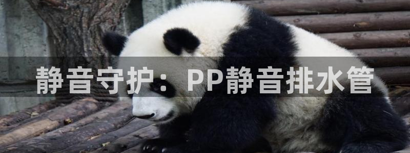 彝族自治州众腾娱乐