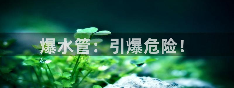 众腾娱乐发7O777