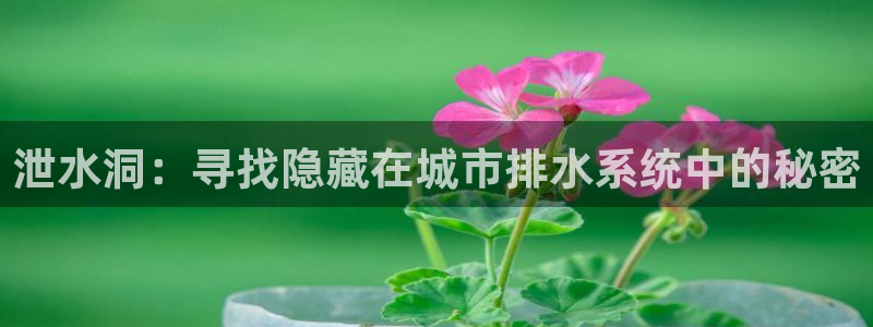 楚雄众腾娱乐是干什么的