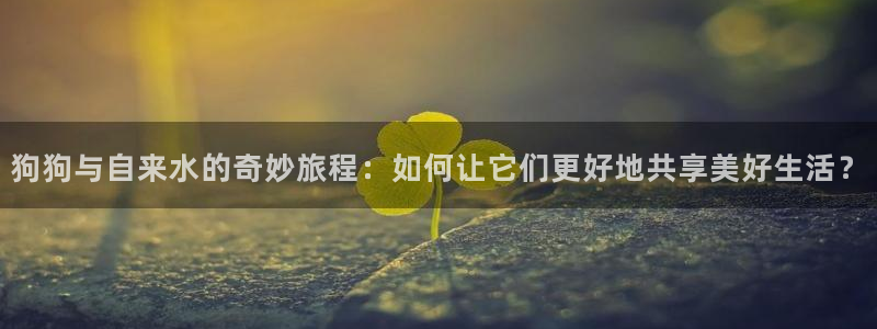 众腾娱乐代理怎么样