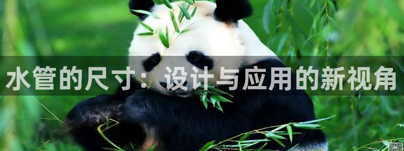 腾耀娱乐众推55312