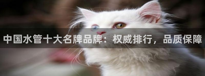 众东腾娱乐客服