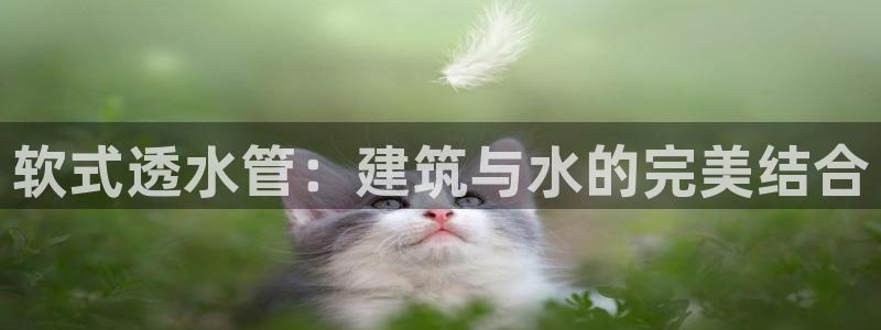 腾耀娱乐众推46996