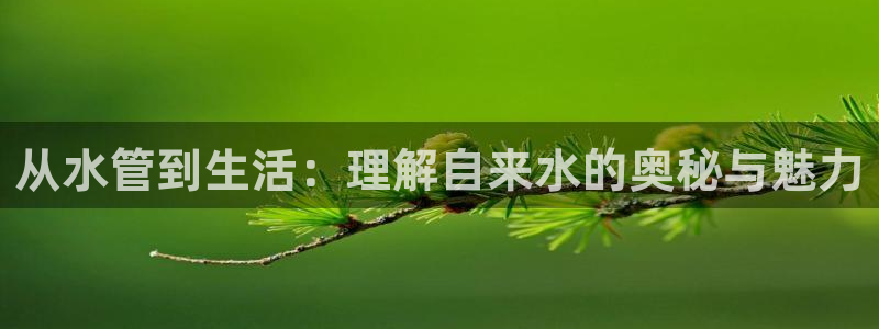 腾耀娱乐29999出众