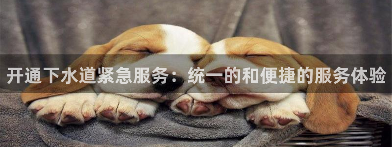 腾耀娱乐众推99840