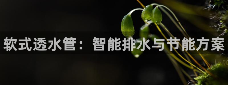 众腾娱乐发7O777