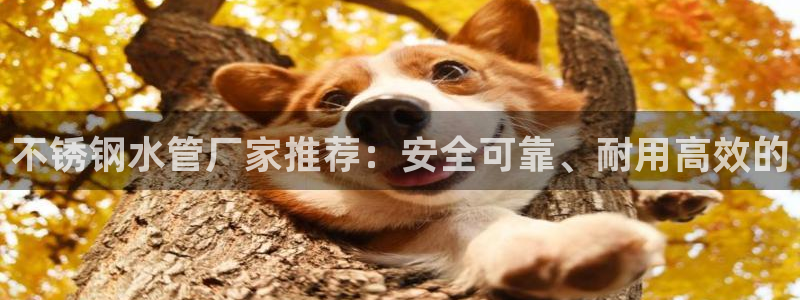 楚雄众腾娱乐